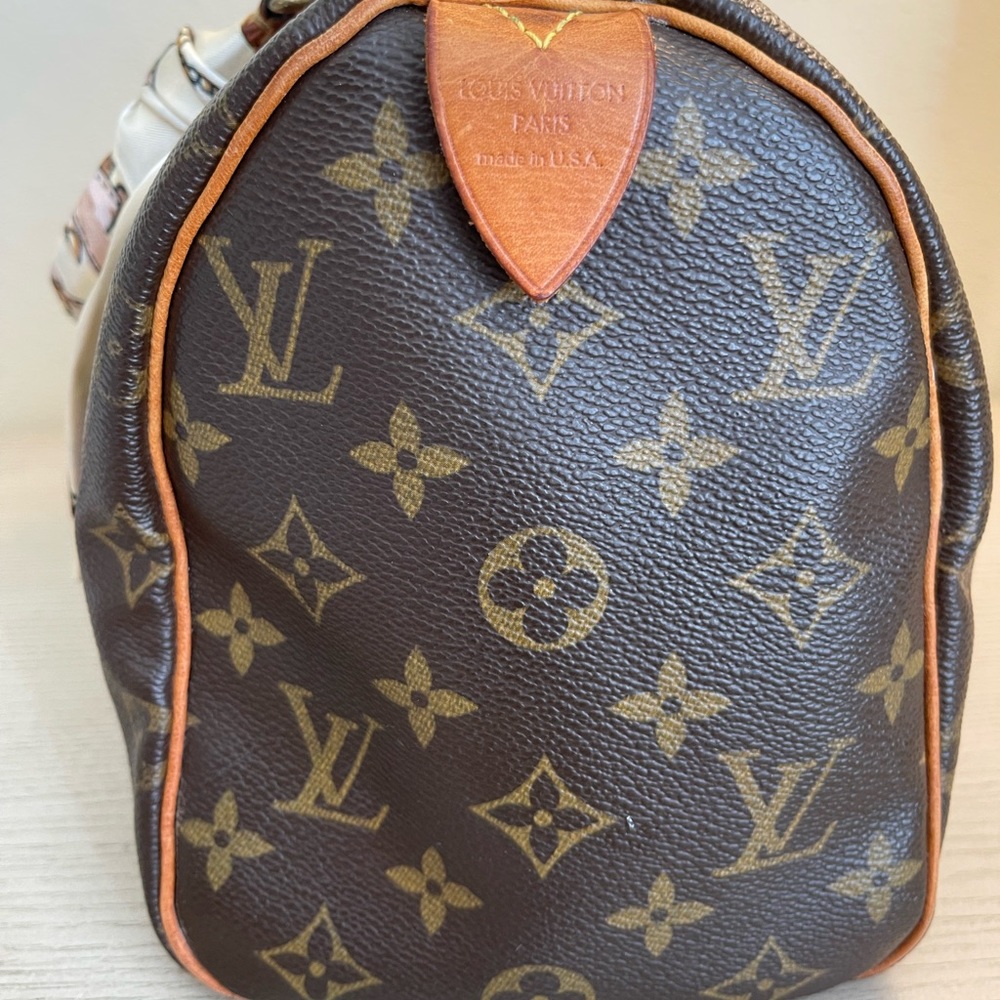 Vintage Louis Vuitton Speedy 25